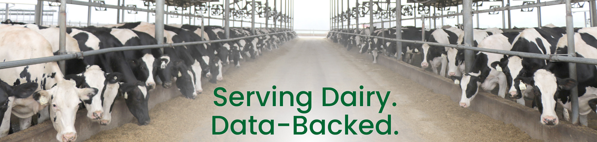 Serving Dairy, Data Backed